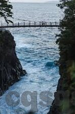 日韩av片在线-日韩AV片在线，网络文化与隐私保护的边界探讨